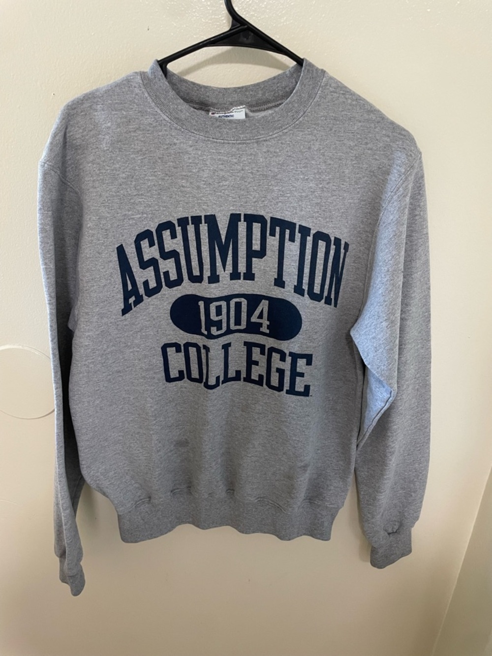 ✨Champion SweatShirt Size Small